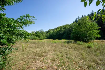 Immobilie kaufen in Sankt Pölten Land – 4 674 m², € 1.190.000 – Bild 4 von 7