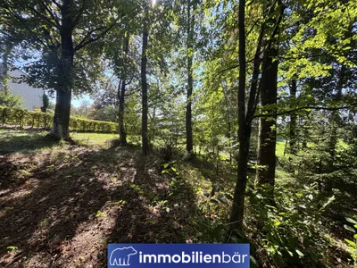 Immobilie kaufen in Schärding – € 89.000 – Bild 2 von 12
