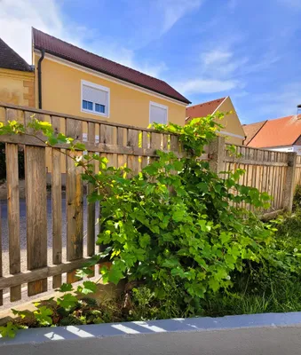 6-Zimmer-Gewerbeimmobilie kaufen in Eisenstadt - Umgebung – 300 m², € 295.000 – Bild 3 von 22