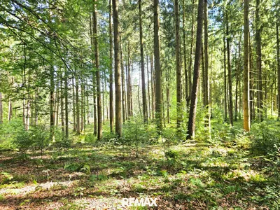 Immobilie kaufen in Braunau am Inn – 26 374 m², € 78.000 – Bild 2 von 15