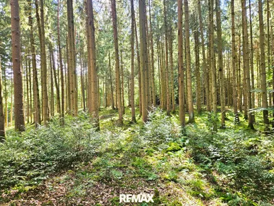 Immobilie kaufen in Braunau am Inn – 26 374 m², € 78.000 – Bild 1 von 15