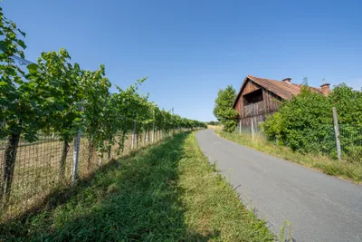 Haus kaufen in Leibnitz – 112 m², € 512.480 – Bild 3 von 6