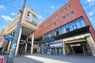 Gewerbeimmobilie mieten in Wien – 233 m², € 3.092