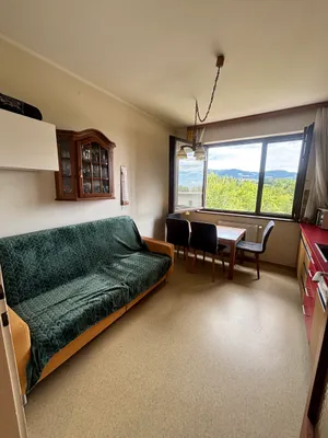 2-Zimmer-Wohnung mieten in Hartberg-Fürstenfeld – 50 m², € 370 – Bild 13 von 13