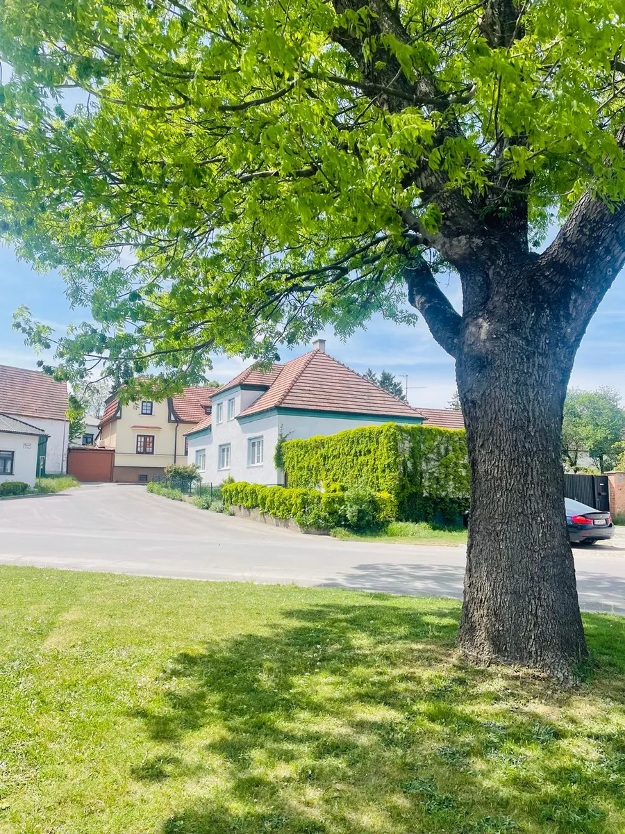 Haus – Steinbrunn, Bezirk Eisenstadt-Umgebung - Ansicht 2