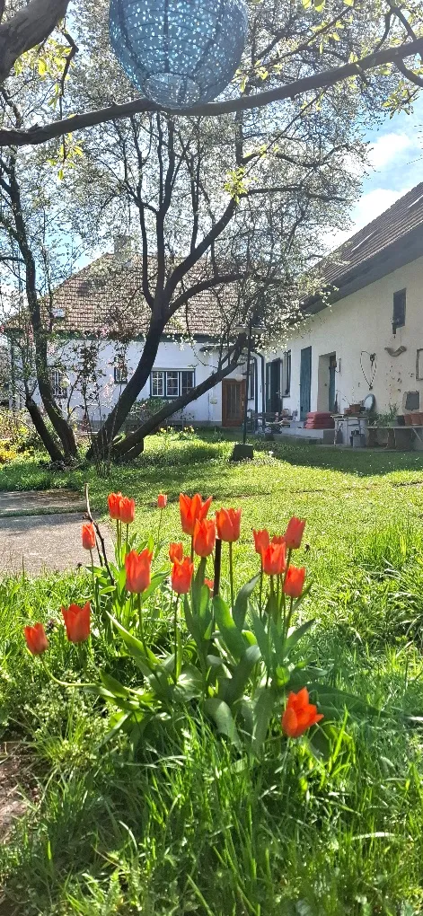 Haus – Steinbrunn, Bezirk Eisenstadt-Umgebung