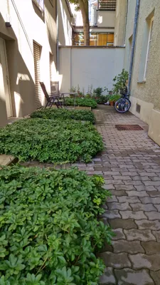 2-Zimmer-Wohnung mieten in Graz – 41 m², € 660 – Bild 12 von 13