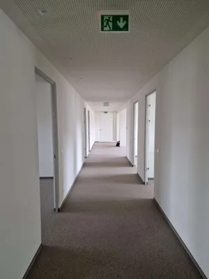 Gewerbeimmobilie mieten in Linz – 252 m², € 3.616 – Bild 5 von 6
