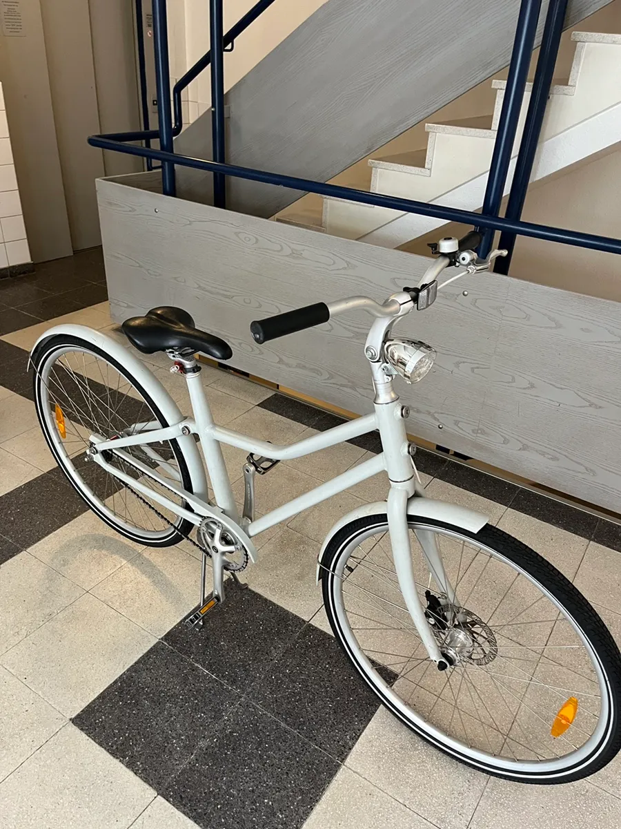 trekking e-bike fully HoheAcht | MOLA Terra Abgetrennte Finger, 3 Stück and SensorSwap technology for Fahrrad 24 Zoll pink Style:18L Storage Box