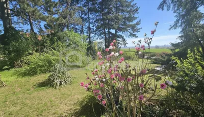 3-Zimmer-Haus kaufen in Mistelbach – 80 m², € 350.000 – Bild 3 von 7