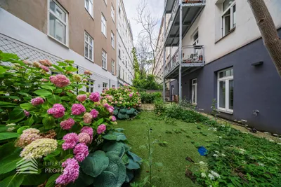 3-Zimmer-Gewerbeimmobilie mieten in Wien – 142 m², € 2.126 – Bild 11 von 13