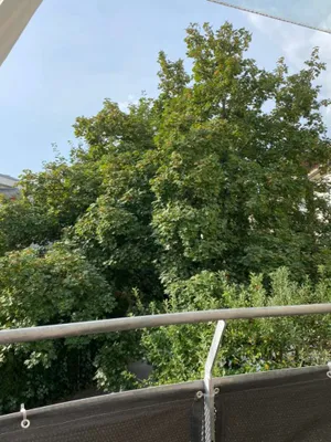 3-Zimmer-Wohnung mieten in Klagenfurt – 85 m², € 1.300 – Bild 5 von 9