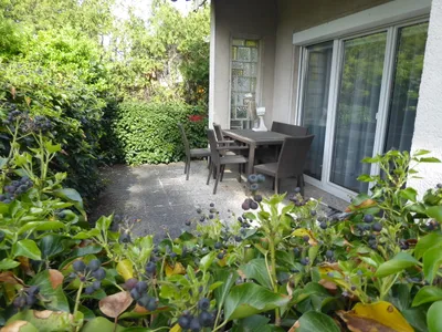 3-Zimmer-Haus kaufen in Wiener Neustadt Land – 80 m², € 320.000 – Bild 2 von 17