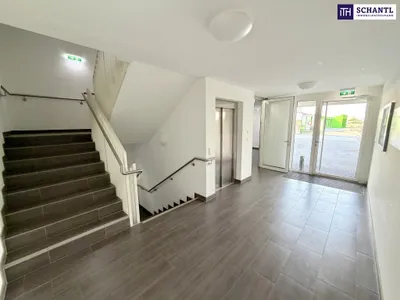 2-Zimmer-Wohnung mieten in Wien – 54,58 m², € 1.173 – Bild 10 von 11