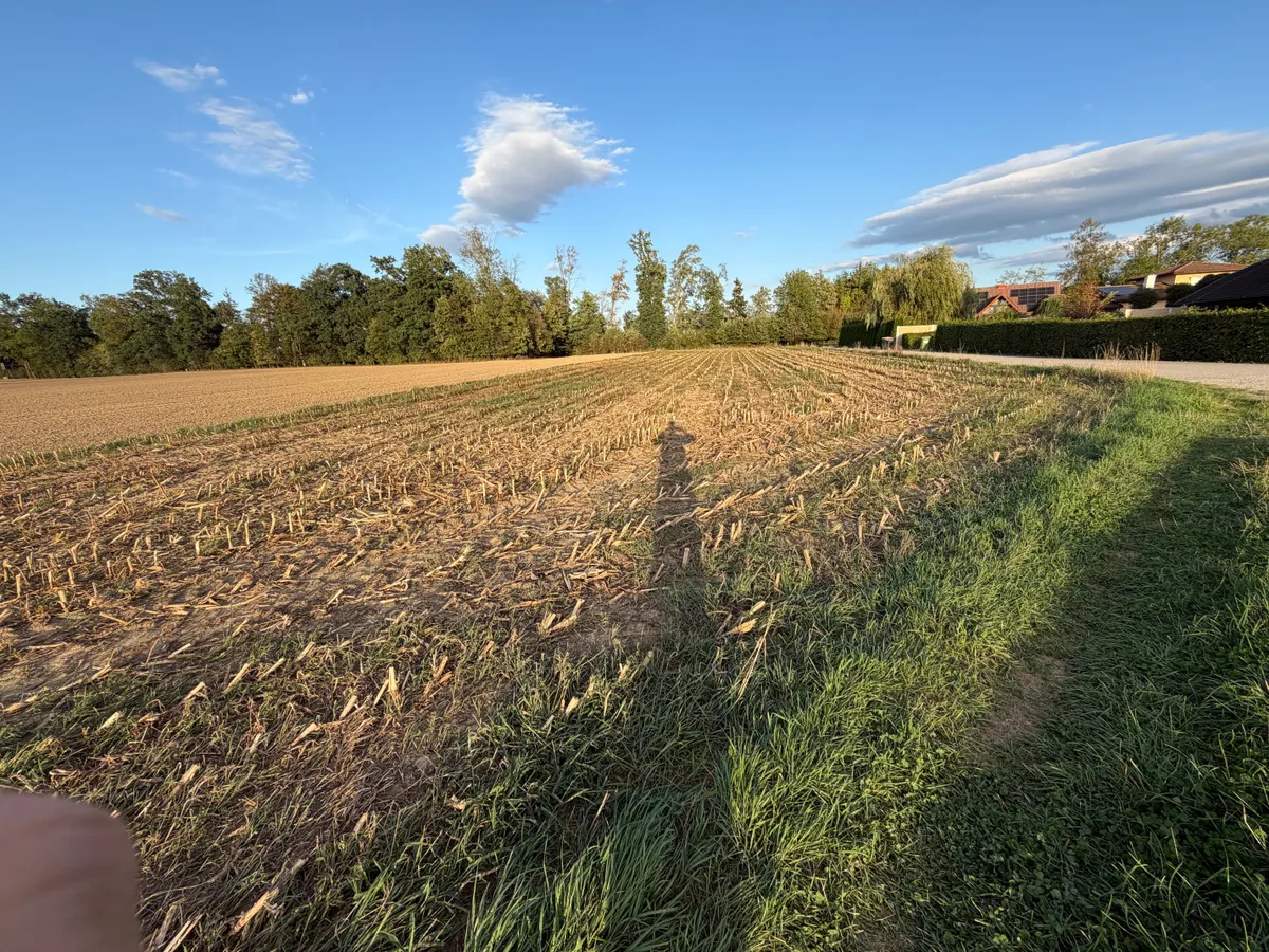 Exklusives Baugrundstück in Vorchdorf - 3.222 m² in traumhafter Randlage mit Teilungsoption - Ansicht 3