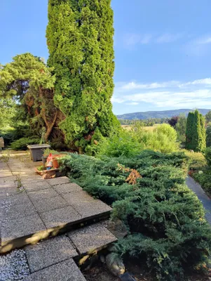 Grundstück kaufen in Korneuburg – 1 364 m², € 899.000 – Bild 2 von 19