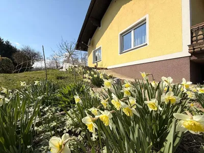 5-Zimmer-Haus kaufen in Graz-Umgebung – 125 m², € 449.800 – Bild 5 von 55
