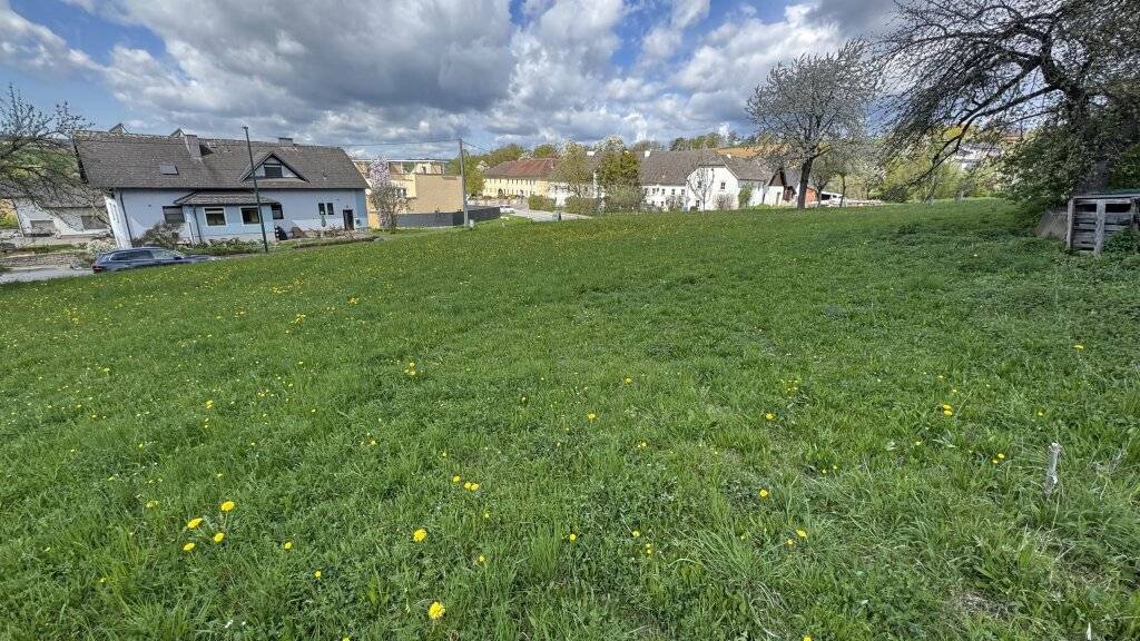 Großzügiges sonniges Baugrundstück in 4223 Bodendorf - Ihr Eigenheim wartet! - Ansicht 3