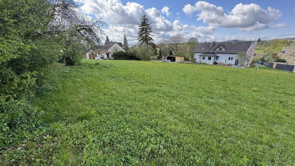 Großzügiges sonniges Baugrundstück in 4223 Bodendorf - Ihr Eigenheim wartet! - Ansicht 2