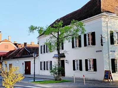 39-Zimmer-Gewerbeimmobilie kaufen in Hartberg-Fürstenfeld – 1 468 m², € 950.000 – Bild 3 von 5