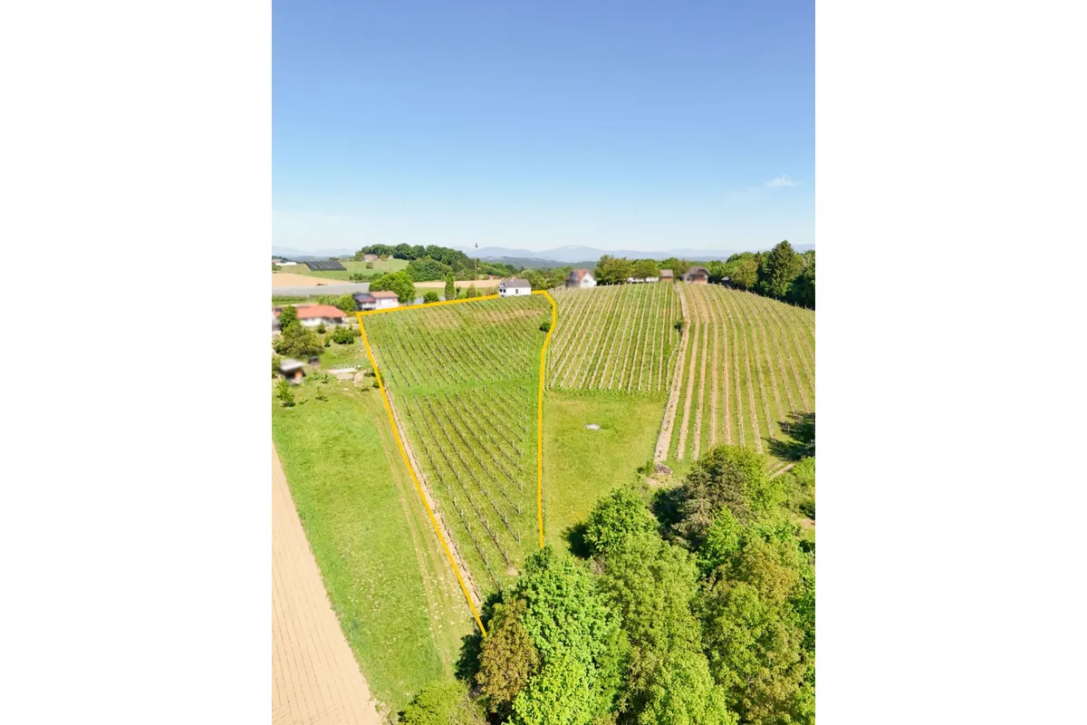 Traumhafte Liegenschaft mit Kellerstöckl und großem Bauland mit Blick auf die Riegersburg - Widok 3