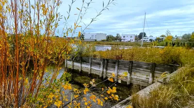 Grundstück kaufen in Eisenstadt - Umgebung – 635 m², € 295.000 – Bild 2 von 4