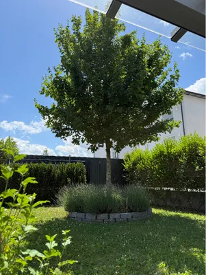 4-Zimmer-Haus kaufen in Linz Land – 100 m², € 510.000 – Bild 16 von 16
