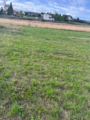 Grundstück kaufen in Eisenstadt – 708 m², € 247.800 – Bild 2 von 3