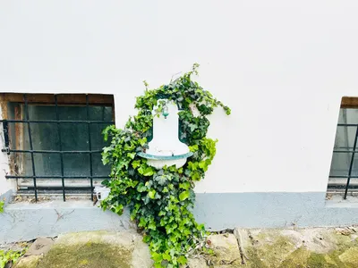 5-Zimmer-Haus mieten in Hollabrunn – 190 m², € 1.980 – Bild 6 von 18