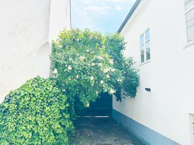5-Zimmer-Haus mieten in Hollabrunn – 190 m², € 1.980 – Bild 5 von 18