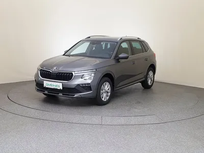 Skoda Kamiq Selection TSI DSG