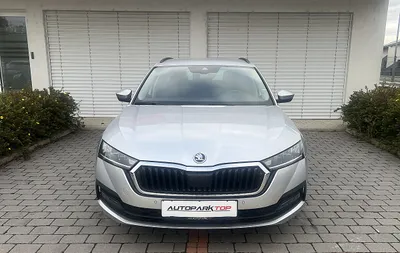 Skoda Octavia 2.0 TDI DPF Ambition (EURO 6d)