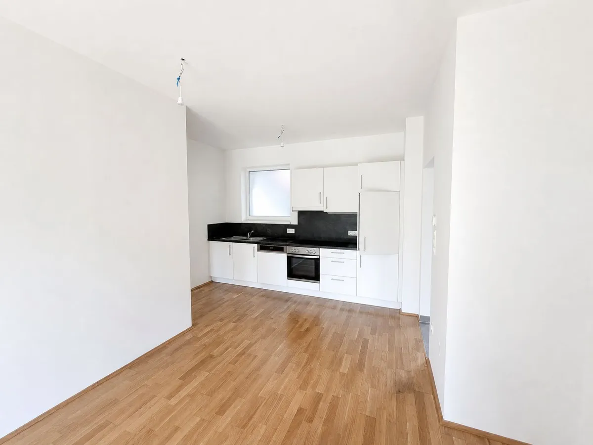 Apartment in Graz, Katastralgemeinde Liebenau, Liebenau - Ansicht 2