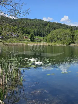 Grundstück kaufen in Klagenfurt Land – € 890.000 – Bild 5 von 9