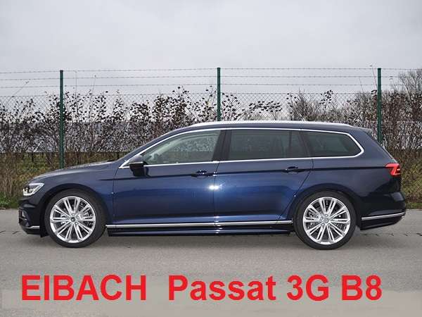 Passat b6 eibach