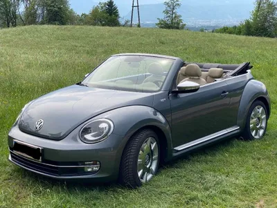 VW Beetle