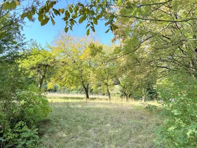 Grundstück kaufen in Lilienfeld – 2 501 m², € 575.000 – Bild 3 von 5