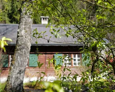 Haus zur Miete in 3294 Scheibbs