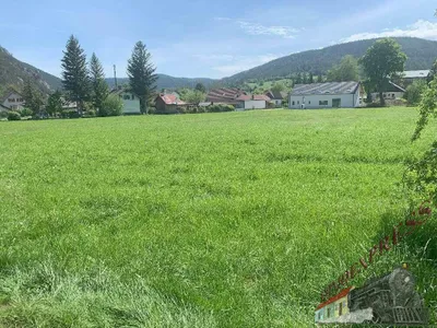 Grundstück zum Kauf in 2734 Neunkirchen