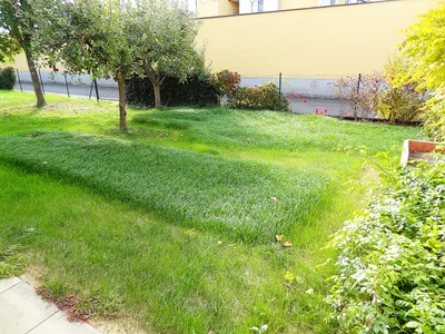 17-Zimmer-Gewerbeimmobilie mieten in Südoststeiermark – 251 m², € 3.000 – Bild 82 von 99