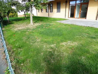 17-Zimmer-Gewerbeimmobilie mieten in Südoststeiermark – 251 m², € 3.000 – Bild 89 von 99