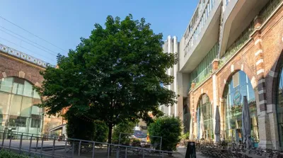 Gewerbeimmobilie mieten in Wien – 755 m², € 17 – Bild 4 von 6