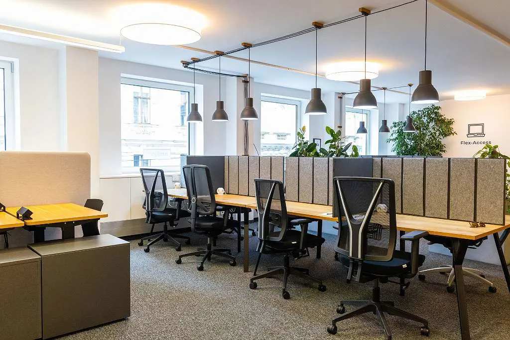 Büroflächen und Co-working in 1060 Wien - zu mieten - Ansicht 2