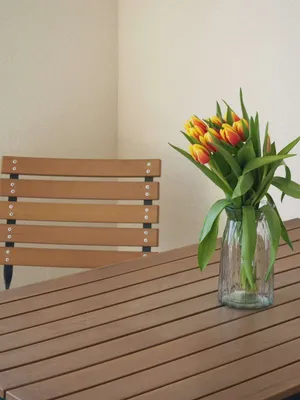 2-Zimmer-Wohnung mieten in Klagenfurt Land – 45 m² – Bild 6 von 9