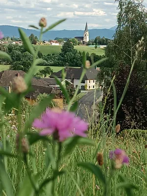 Grundstück kaufen in Vöcklabruck – 700 m², € 175 – Bild 8 von 11