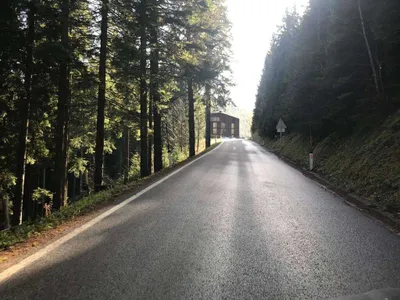 Immobilie kaufen in Bruck-Mürzzuschlag – 3 660 m², € 499.000 – Bild 3 von 4