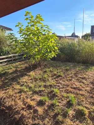 Grundstück kaufen in Neusiedl am See – 450 m², € 499.000 – Bild 11 von 19