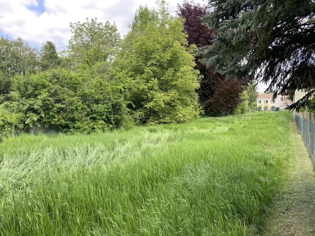 Baugrundstücke zu verkaufen, zentral, eben, Ruhelage, naturnah – pohled 2