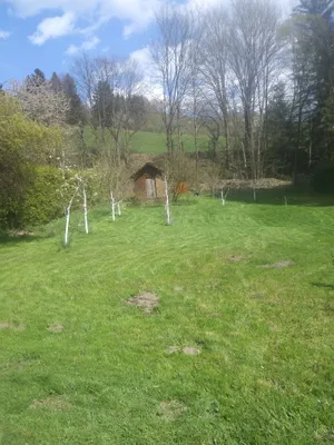 Grundstück kaufen in Wiener Neustadt Land – 919 m², € 74.877 – Bild 7 von 8