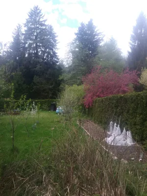 Grundstück kaufen in Wiener Neustadt Land – 919 m², € 74.877 – Bild 2 von 8